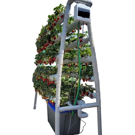 image-10ef0a64d11443f2a455326ed79acb91 image-10ef0a64d11443f2a455326ed79acb91