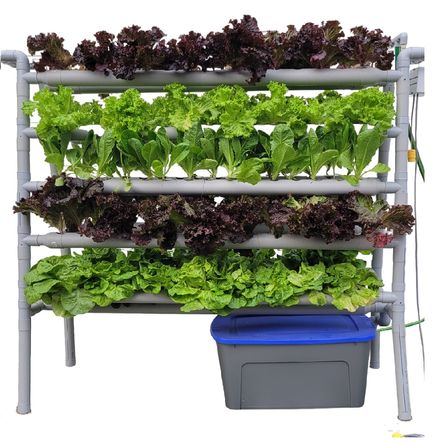 image-c2686a7c243947ddb6ebedb38d46a7be image-c2686a7c243947ddb6ebedb38d46a7be