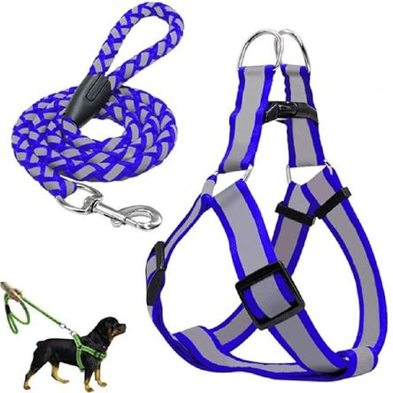 Correa Reflectante Para Mascotas Talla 3 Correa Reflectante Para Mascotas Talla 3