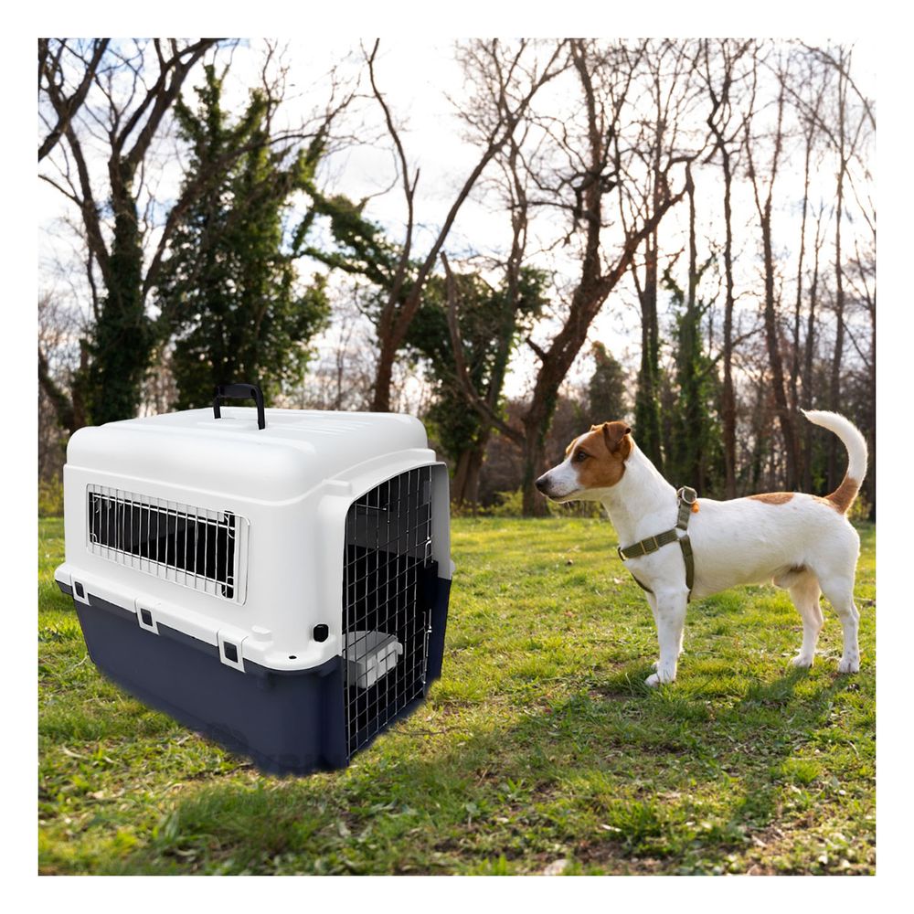 Transportador Versatil Pet L70 en Plomo Oscuro Y+Agendita Transportador Versatil Pet L70 en Plomo Oscuro Y+Agendita