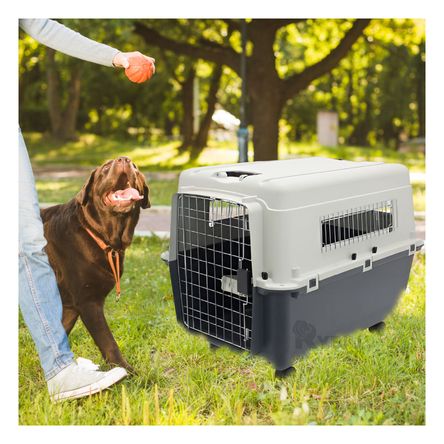 Transportador Versatil Pet L120 en Plomo Oscuro Y+Agendita Transportador Versatil Pet L120 en Plomo Oscuro Y+Agendita