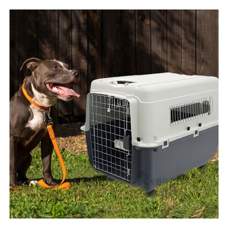 Portadora de Perro L120 en Plomo Oscuro Y+Post-it adhesivos Portadora de Perro L120 en Plomo Oscuro Y+Post-it adhesivos