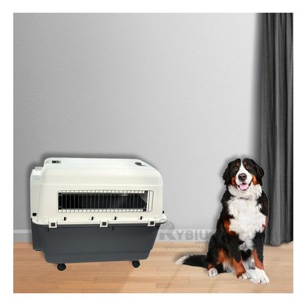 Transportador L120 de Animales Seguro y Comodo Plomo Oscuro Transportador L100 de Animales Seguro y Comodo Plomo Oscuro Transportador L120 de Animales Seguro y Comodo Plomo Oscuro Transportador L100 de Animales Seguro y Comodo Plomo Oscuro