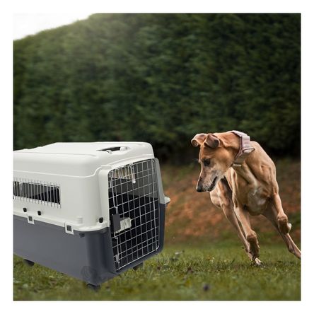 Transportador Ideal para Perro L120 Plomo Oscuro Y+Stickers Transportador Ideal para Perro L120 Plomo Oscuro Y+Stickers