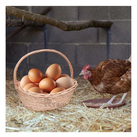 Canasta Funcional para ir de Picnic en Marron Y+Stickers Canasta Funcional para ir de Picnic en Marron Y+Stickers