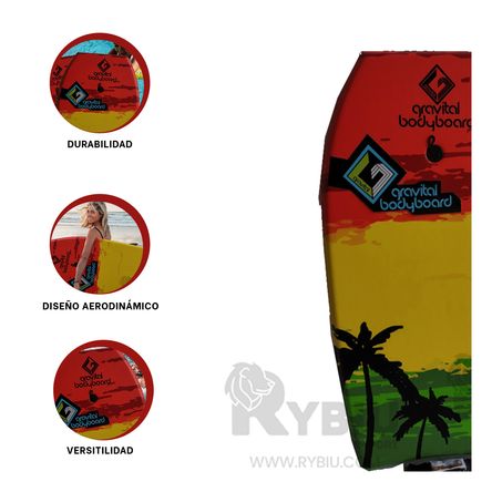 Tabla Moderna para Surfear en Multicolor Y+Stickers