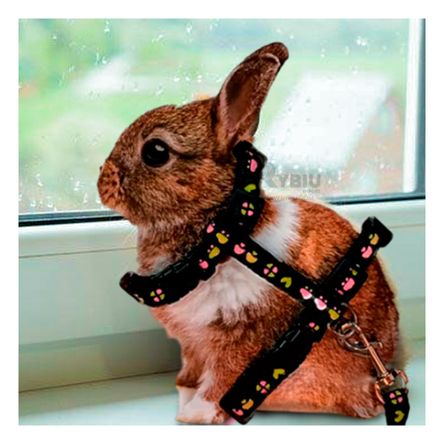 Arnes de Paseo para Conejo en Color Negro Y+Papel de Regalo Arnes de Paseo para Conejo en Color Negro Y+Papel de Regalo