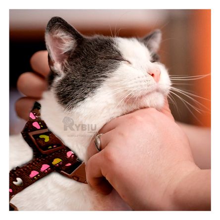 Arnes Comodo y Delgado para Conejo en Tono Marron Y+Stickers Arnes Comodo y Delgado para Conejo en Tono Marron Y+Stickers