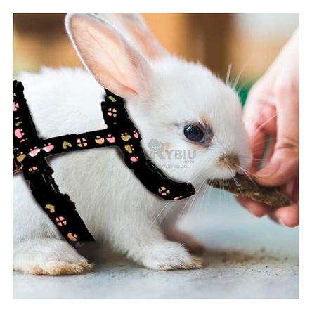 Arnes para Conejo de Paseo Delgado de Color Negro Arnes para Conejo de Paseo Delgado de Color Negro