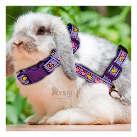 Arnes de Paseo para Conejo en Color Lila Y+Papel de Regalo