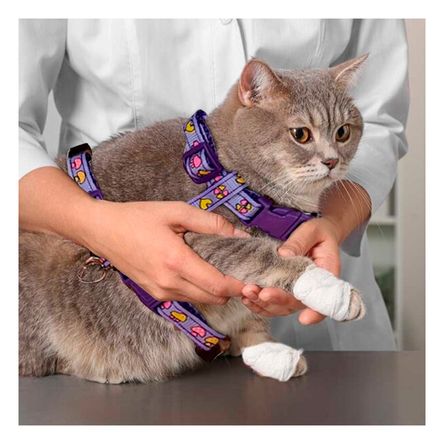 Tirante de Seguridad para Conejo en Lila Y+Post-it adhesivos Tirante de Seguridad para Conejo en Lila Y+Post-it adhesivos