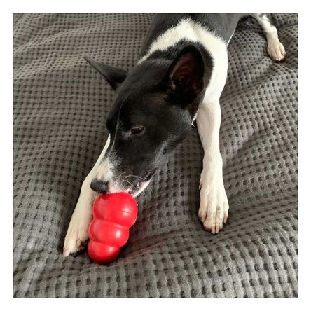 Juguete de 3 Bolas Color Llamativo en Rojo Grande Y+Agendita Juguete de 3 Bolas Color Llamativo en Rojo Grande Y+Agendita