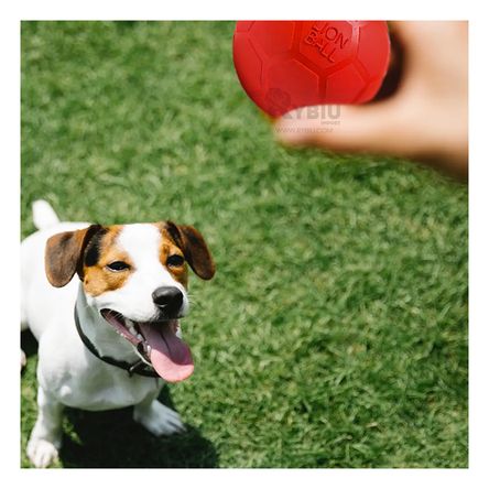 Pelota Funcional para Perros en Talla M en Rojo Y+Agendita