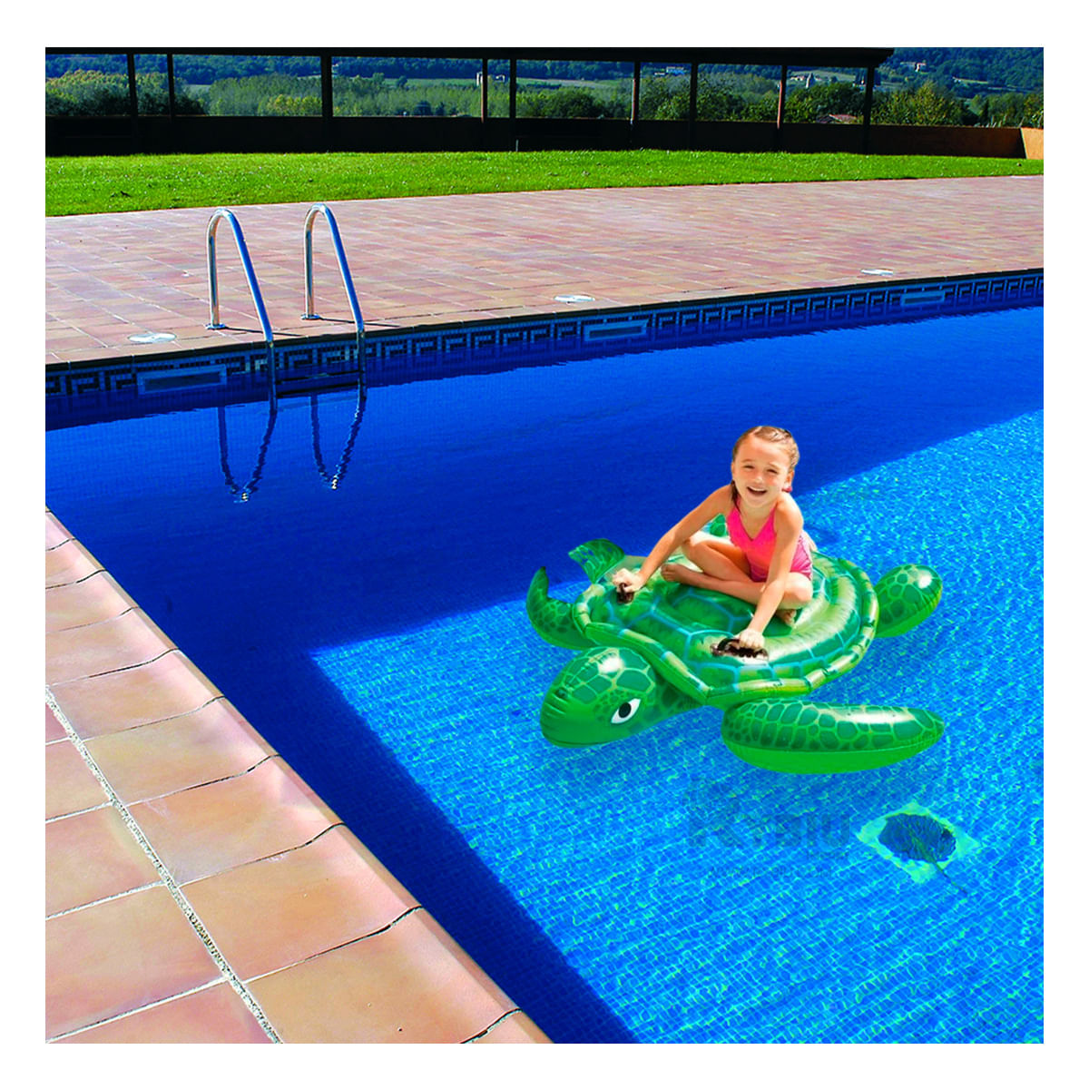 Flotador de Gran Diseño de Tortuga Verde Y+Regalo Agendita