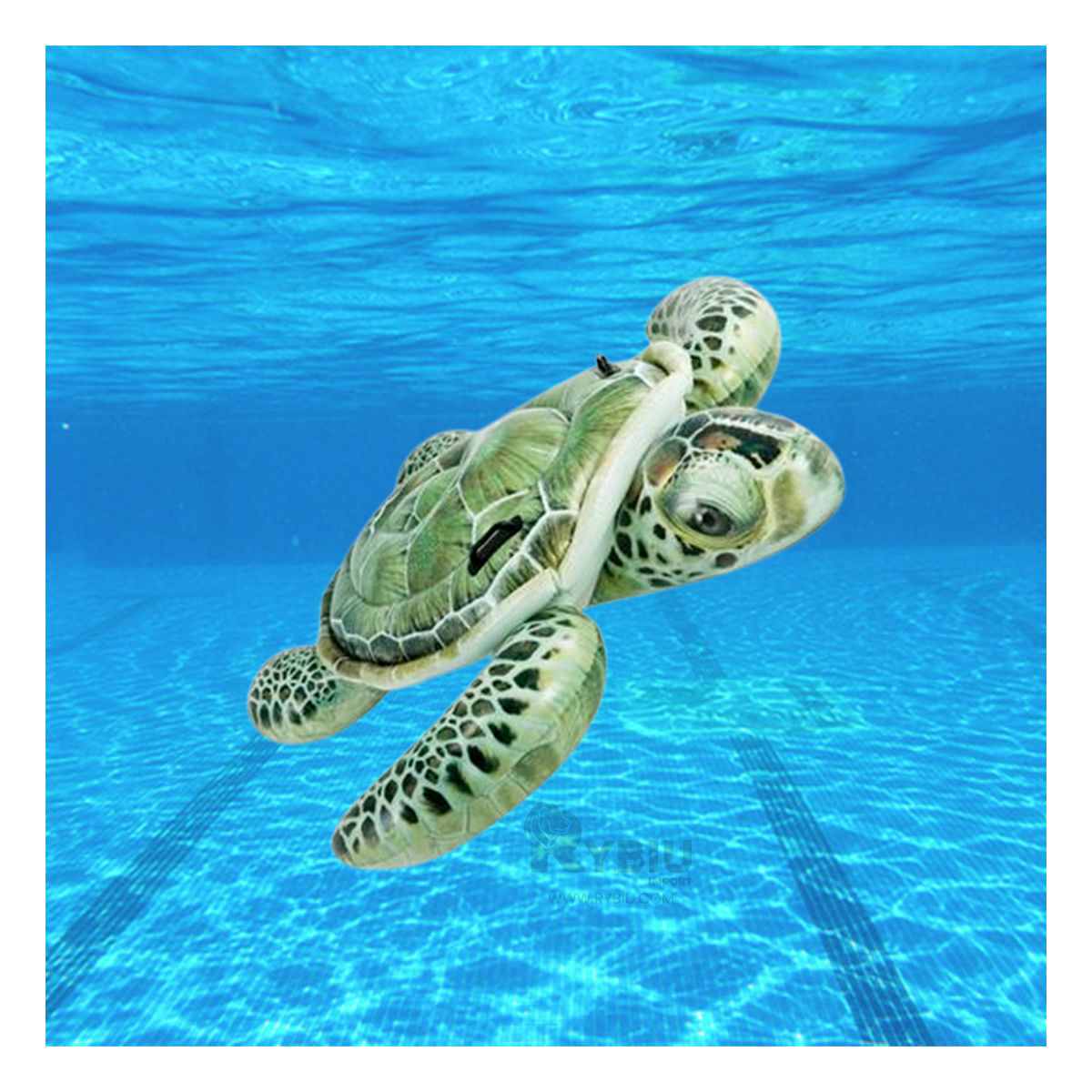 Flotador Util para Playa de Tortuga Y+Regalo Stickers