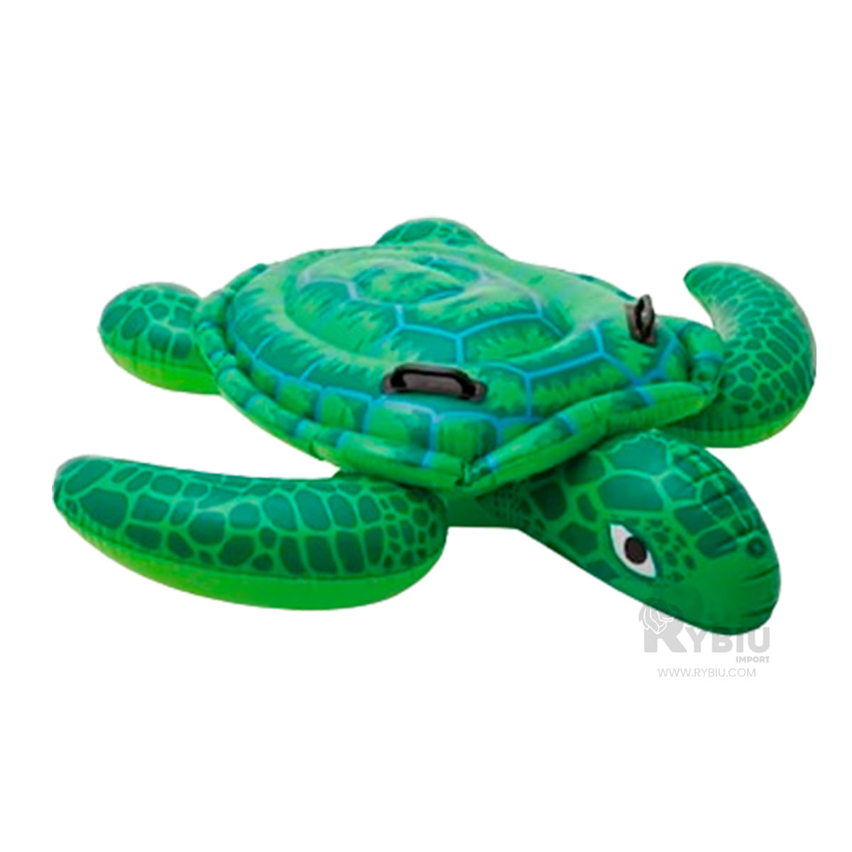 Flotante Funcional de Tortuga Verde Y+Post-it Adhesivos