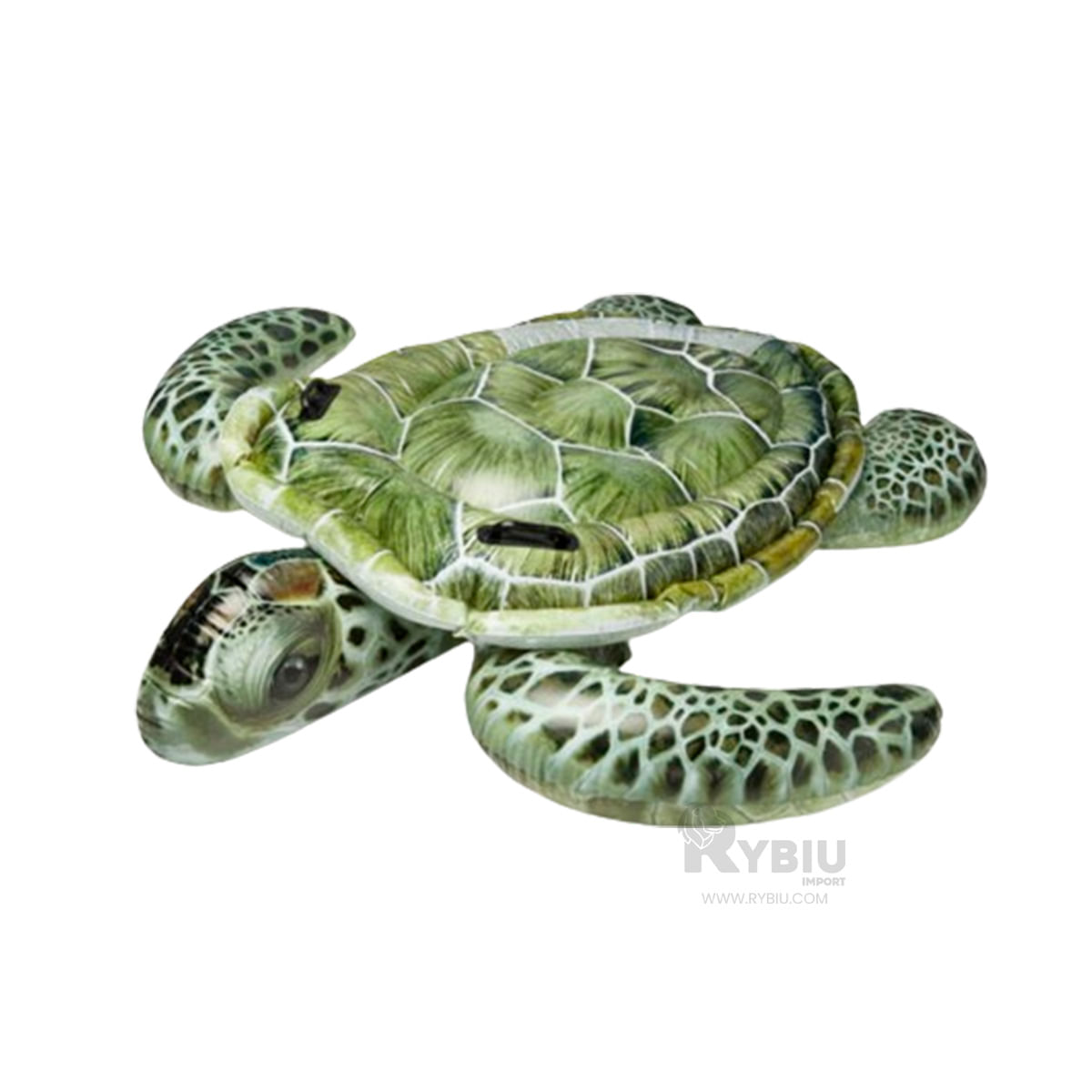 Flotante Funcional en Forma de Tortuga Y+Post-it Adhesivos