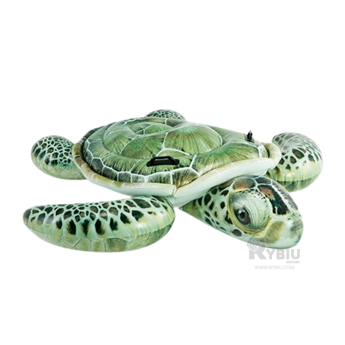 Flotante Comodo para Playa de Tortuga Y+Ligas de Regalo
