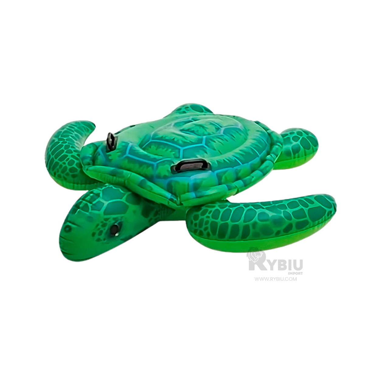 Flotante Comodo de Tortuga Verde Y+Ligas de Regalo