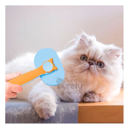 Cepillo con Boton de Limpieza de Color Celeste Y+Stickers Cepillo con Boton de Limpieza de Color Celeste Y+Stickers