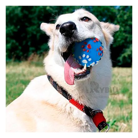 Pelota con Textura en Tamaño M Celeste Y+Papel de Regalo Pelota con Textura en Tamaño M Celeste Y+Papel de Regalo