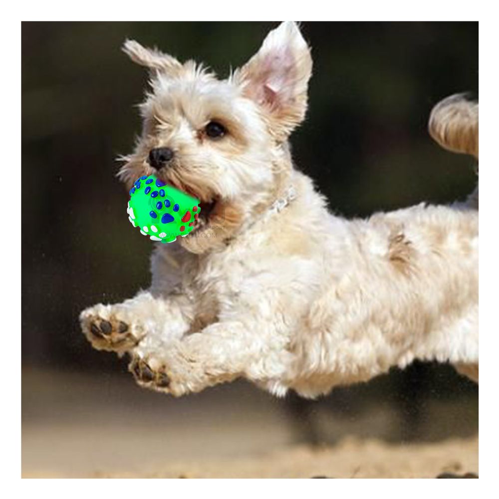 Pelota Antiestres Pet en Talla L Verde Y+Stickers Pelota Antiestres Pet en Talla L Verde Y+Stickers