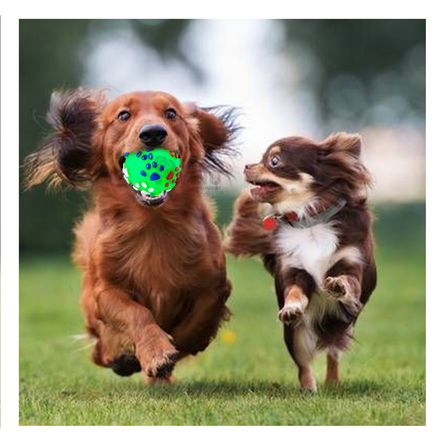 Pelota Llamativa con Textura Talla L Verde Y+Papel de Regalo Pelota Llamativa con Textura Talla L Verde Y+Papel de Regalo