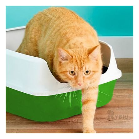 Arenero Semicerrado para Gato Color Verde Y+Papel de Regalo Arenero Semicerrado para Gato Color Verde Y+Papel de Regalo