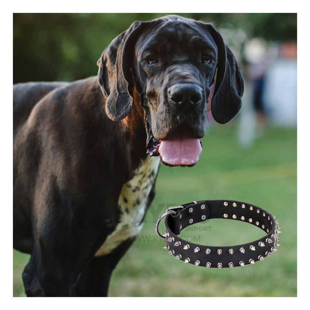 Collar con Diseño de Puas para Mascotas Color Negro Talla XL Collar con Diseño de Puas para Mascotas Color Negro Talla XL