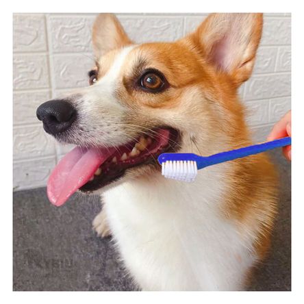 Cepillo Dental Multifuncional para Perro Incluye 3 Piezas Cepillo Dental Multifuncional para Perro Incluye 3 Piezas