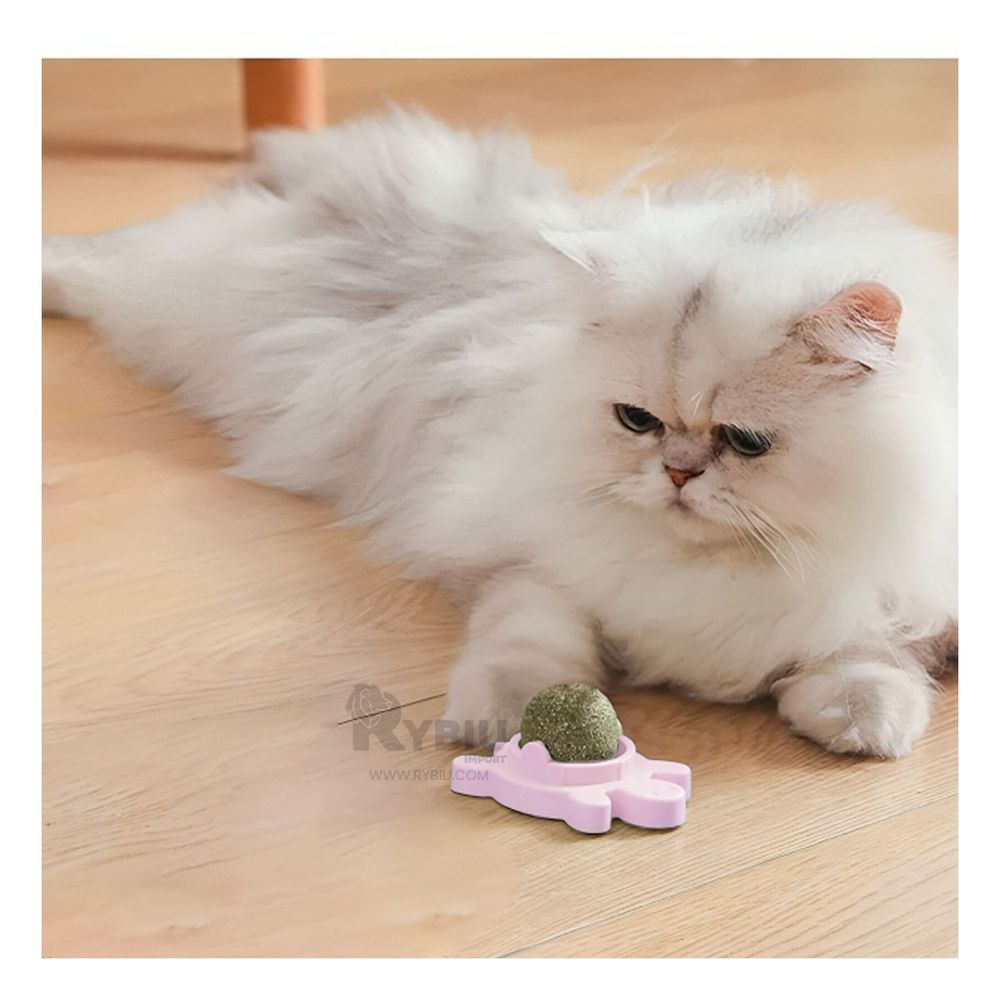 Bola de Hierba en Forma de Tortuga para Gatos de Tono Rosado Bola de Hierba en Forma de Tortuga para Gatos de Tono Rosado