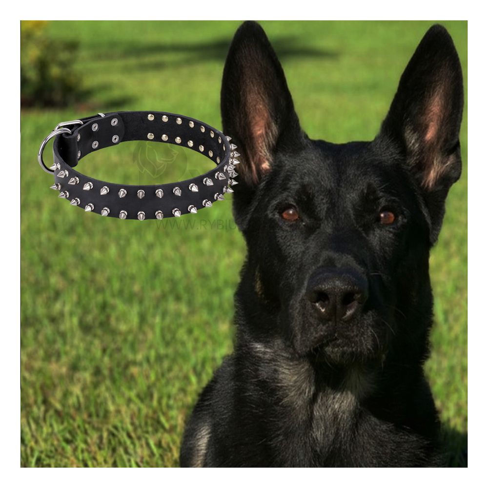 Collar Seguro y Comodo para Perro Negro Talla XL Y+Stickers Collar Seguro y Comodo para Perro Negro Talla XL Y+Stickers