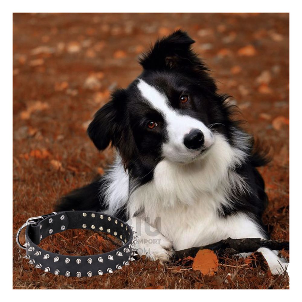 Collar con Diseño de Puas para Mascotas Color Negro Talla L Collar con Diseño de Puas para Mascotas Color Negro Talla L