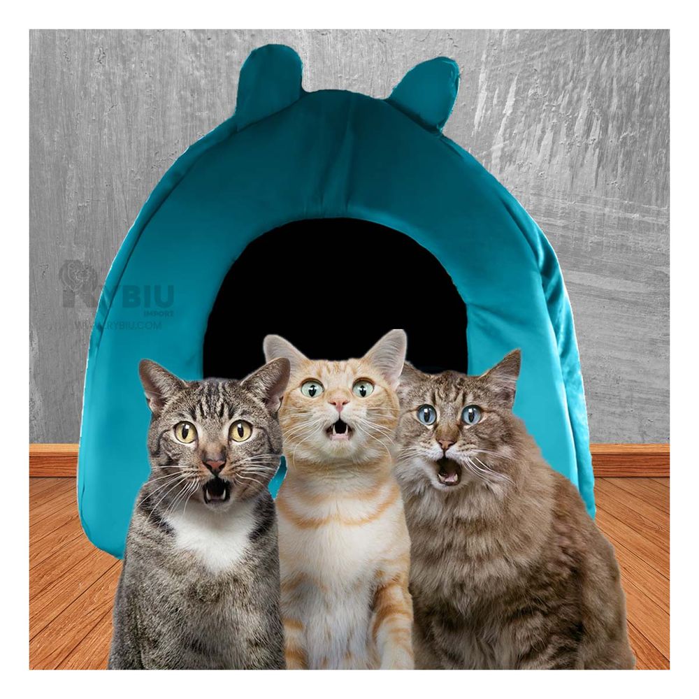 Cama Acolchonada en Forma Iglu Color Verde Agua Talla L Cama Acolchonada en Forma Iglu Color Verde Agua Talla L