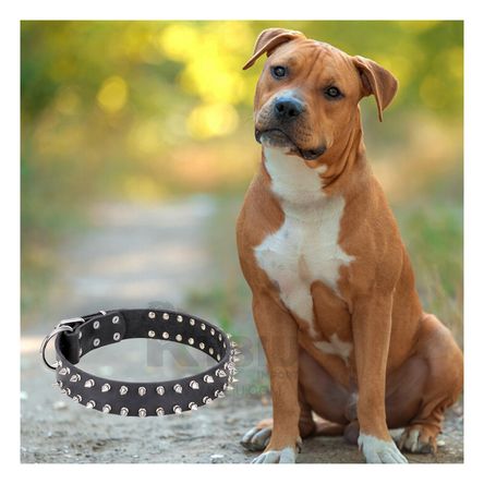Collar Suave y Elegante para Perros Negro Talla L Y+Agendita