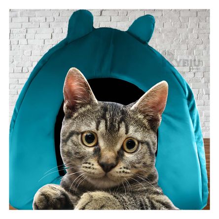 Cama Diseño de Iglu de Verde Agua Talla L Y+Agendita Cama Diseño de Iglu de Verde Agua Talla L Y+Agendita