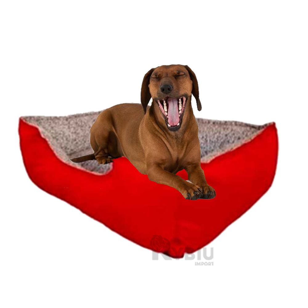 Cama con Base de Lona de Color Rojo XL Y+Papel de Regalo Cama con Base de Lona de Color Rojo XL Y+Papel de Regalo