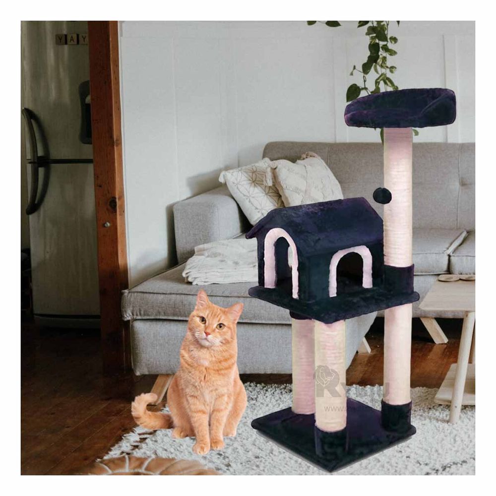 Gimnasio de Entretenimiento de Gatos Azul Y+Regalo Agendita Gimnasio de Entretenimiento de Gatos Azul Y+Regalo Agendita