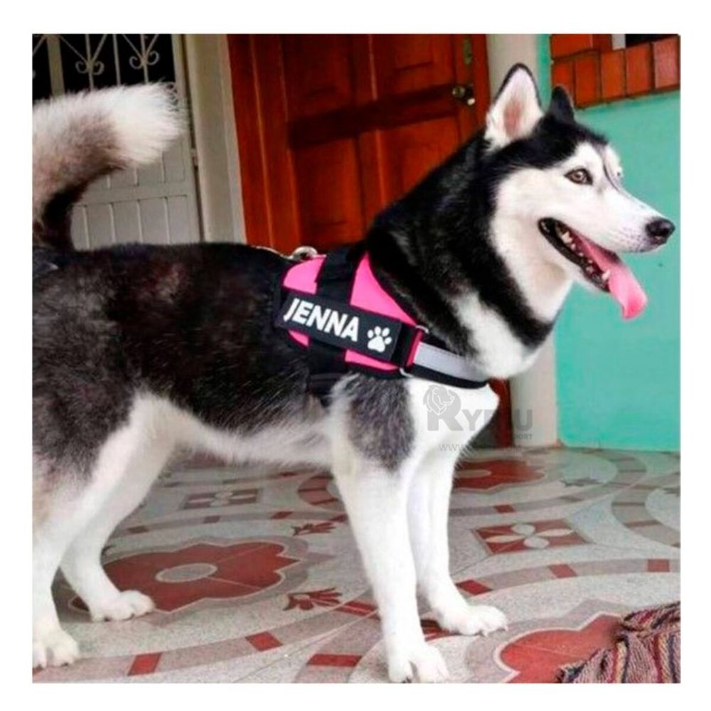 Pechera de Perros Talla XL en Rosado Y+Post-it Adhesivos Pechera de Perros Talla XL en Rosado Y+Post-it Adhesivos