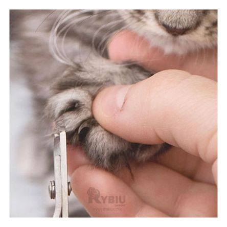 Corta Uña con Lima para Mascotas de Color Celeste Corta Uña con Lima para Mascotas de Color Celeste