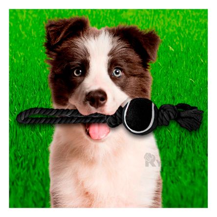 Soga para Morder con Bola Tennis Negro Y+Regalo Agendita Soga para Morder con Bola Tennis Negro Y+Regalo Agendita