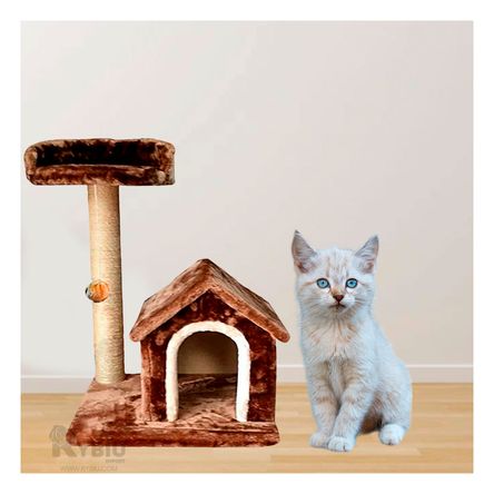 Gym de Gato en Forma de Casa de Dos Pisos de Color Marron