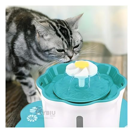 Fuente Practica y Util Tono Verde Y+Papel de Regalo Fuente Practica y Util Tono Verde Y+Papel de Regalo