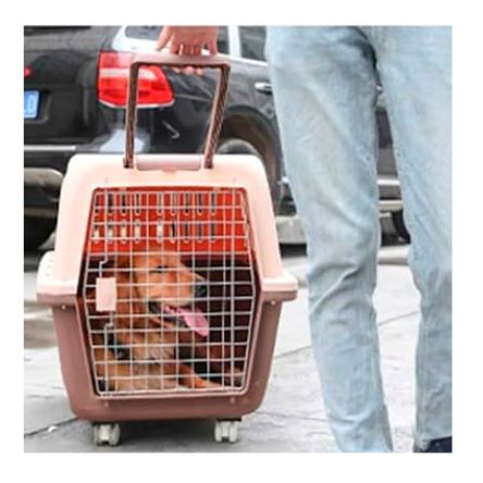 Transportadora de Mascota Segura en Marron Y+Regalo Stickers Transportadora de Mascota Segura en Marron Y+Regalo Stickers