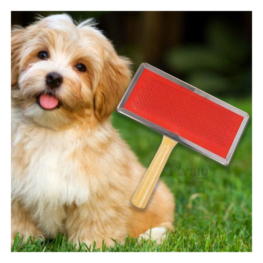 Cepillo con Mango de Madera para Perros en Rojo Talla M Cepillo con Mango de Madera para Perros en Rojo Talla M