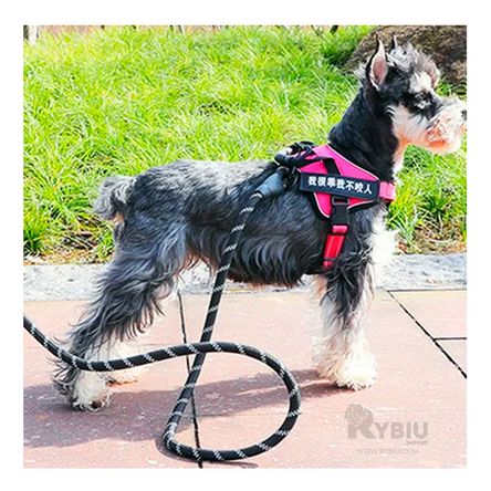 Soga Gruesa Basica y Segura de 1.2m Negro Y+Regalo Agendita Soga Gruesa Basica y Segura de 1.2m Negro Y+Regalo Agendita