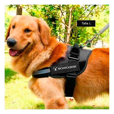 Arnes Seguro contra Tirones en Tono Negro Y+Regalo Stickers Arnes Seguro contra Tirones en Tono Negro Y+Regalo Stickers