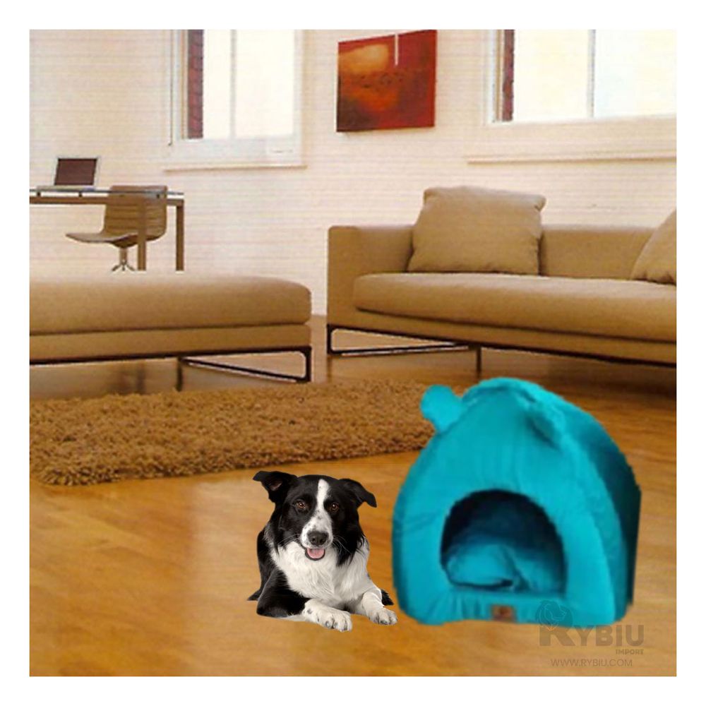 Iglu Cama en Tono Azul Rey Talla L Y+Post-it adhesivos Iglu Cama en Tono Azul Rey Talla L Y+Post-it adhesivos