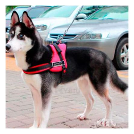 Arnes Resistente para Perros de Color Rojo Y+Papel de Regalo
