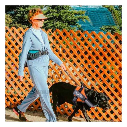 Arnes de Seguridad Talla S Anaranjado Y+Papel de Regalo Arnes de Seguridad Talla S Anaranjado Y+Papel de Regalo